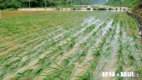 粮食浪费问为什么又开始重提