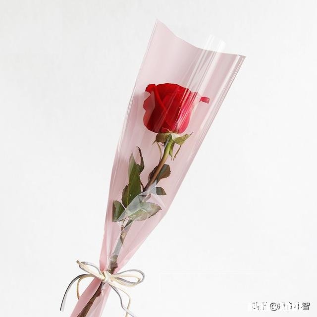 一句话说明今日头条对你的生活产生了什么样的影响