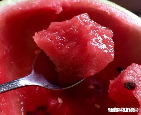 河南开封:西瓜价格继续下跌,一斤四毛无人要!价格下跌的原因是什么