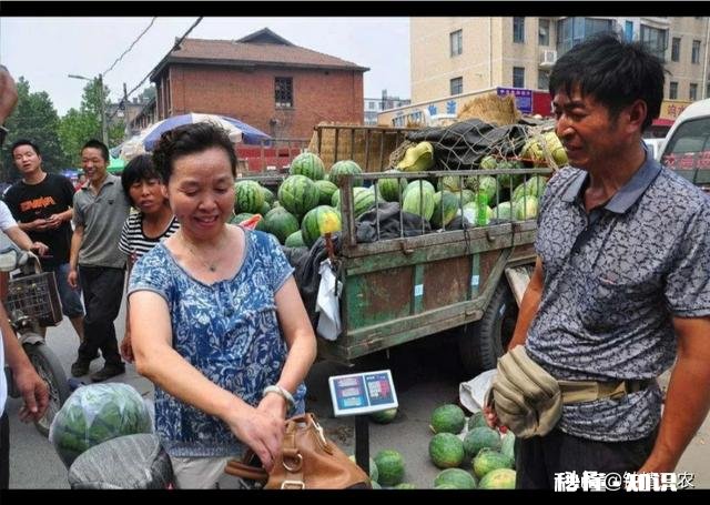 河南开封:西瓜价格继续下跌,一斤四毛无人要!价格下跌的原因是什么