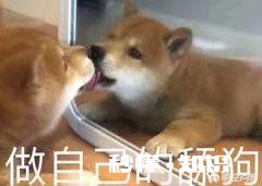 经常发信息、聊天,但是就是找借口不出去吃饭,什么情况