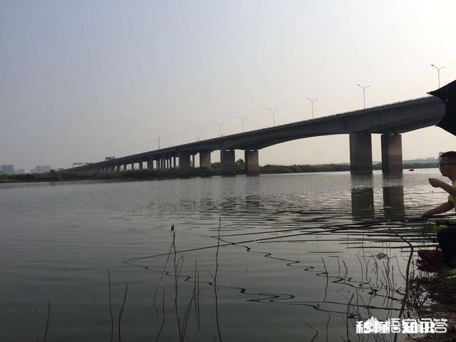 下午去钓鱼找了个钓点,正钓着,来了个人说他上午在这钓的,让我挪位置,合理吗