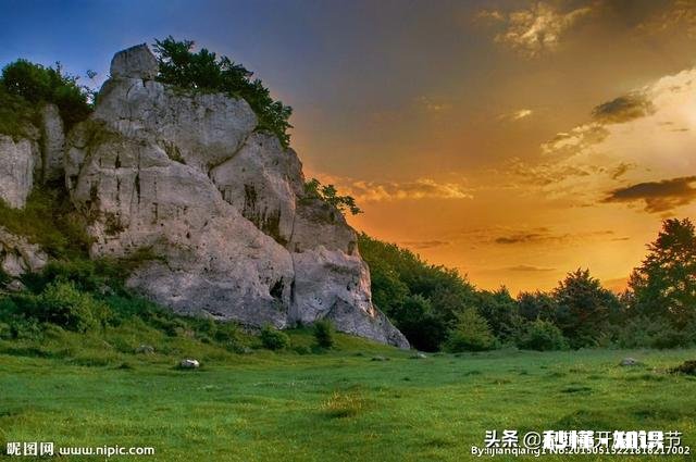 下午去钓鱼找了个钓点,正钓着,来了个人说他上午在这钓的,让我挪位置,合理吗