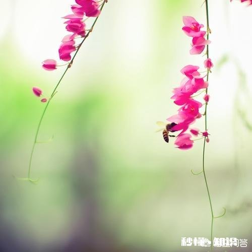 你觉得你对一个不经常说话的人印象如何