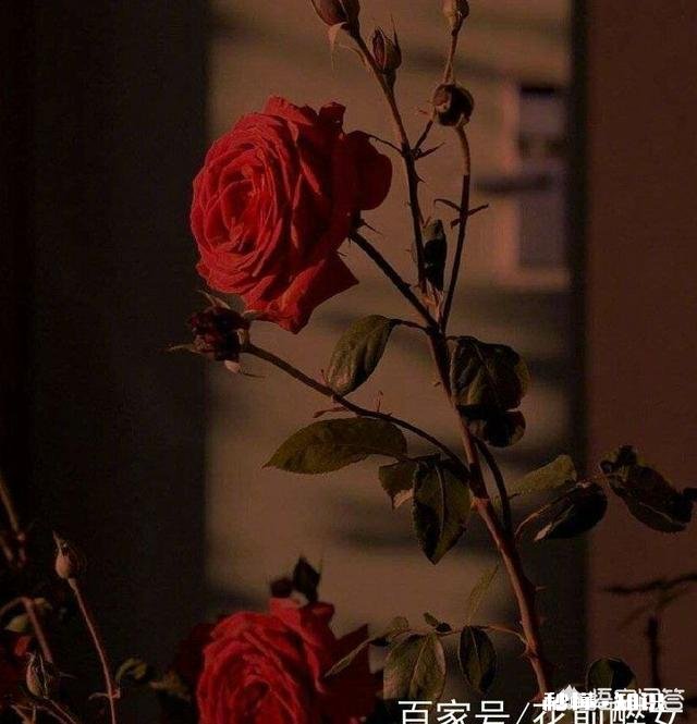 你觉得你对一个不经常说话的人印象如何