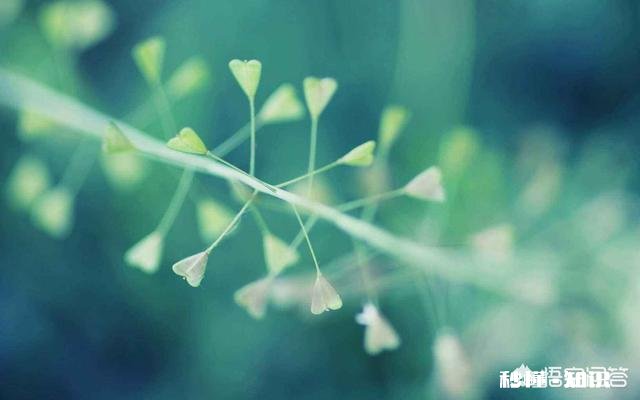 你觉得你对一个不经常说话的人印象如何