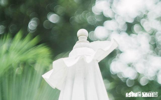 你觉得你对一个不经常说话的人印象如何