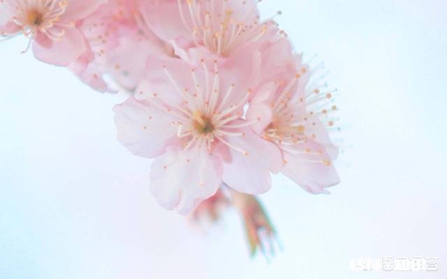 你觉得你对一个不经常说话的人印象如何