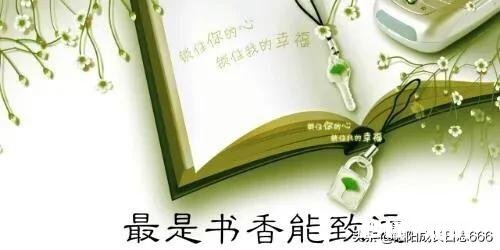 初中语文学不好怎么办