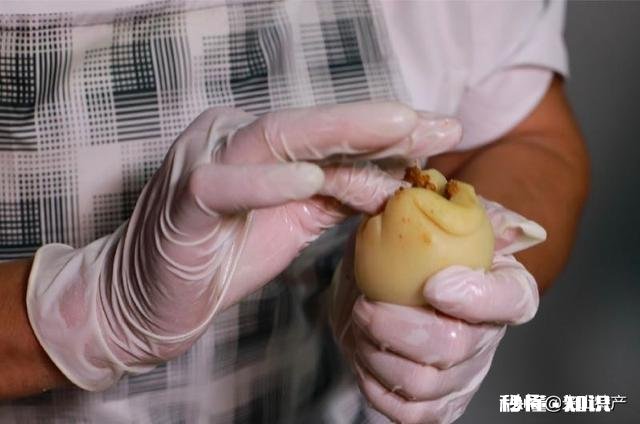 马上到中秋节了，大家都来说说你们当地都喜欢吃什么馅的月饼