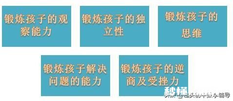 当孩子遇到难题时，父母要给孩子简短明晰的建议吗具体如何去做