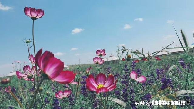 当孩子遇到难题时，父母要给孩子简短明晰的建议吗具体如何去做