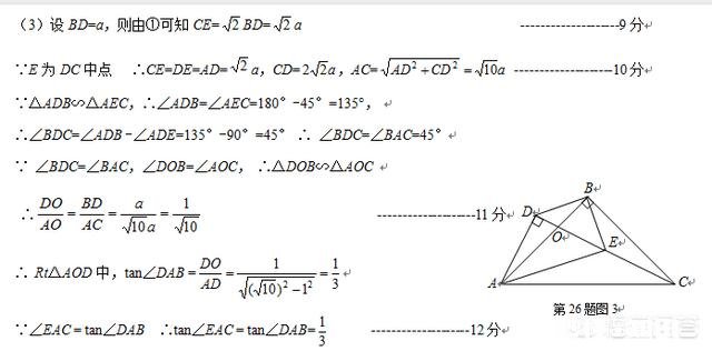 老师强调：通性通法是学好数学的根本，它是什么意思，又怎样才能养成这个习惯呢