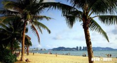 正式开学后周六会上课吗