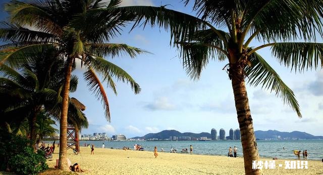 正式开学后周六会上课吗