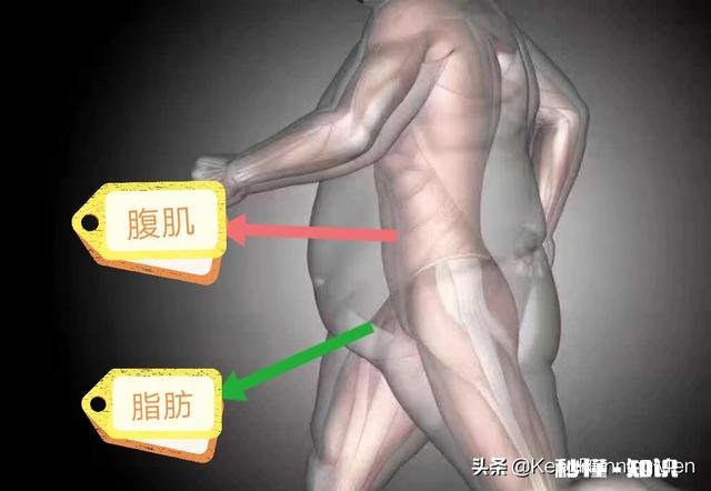 怎样在30天内快速练出腹肌