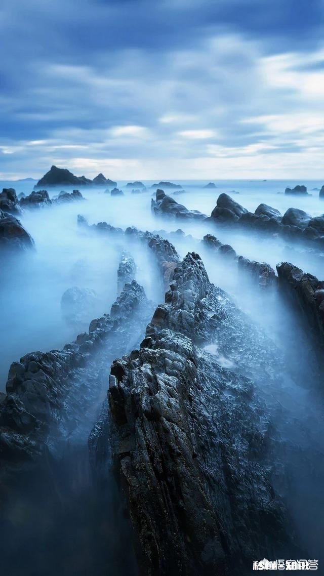 人感觉到冷时为什么会发抖