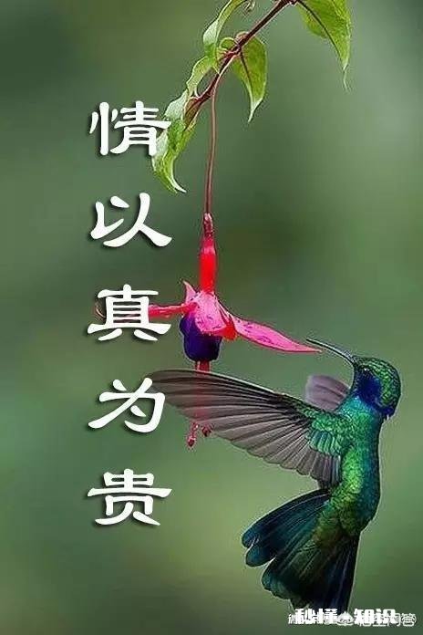 什么亲戚朋友都靠不住，最棒的三个字是靠自己，对此你怎么看