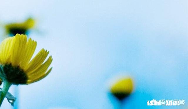 某个相处很不错的朋友因为一件事导致你们决裂，多年后他主动联系你，你会接受吗