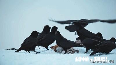 某个相处很不错的朋友因为一件事导致你们决裂，多年后他主动联系你，你会接受吗