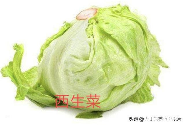 罗马生菜和西生菜哪个好吃