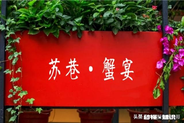 罗马生菜和西生菜哪个好吃