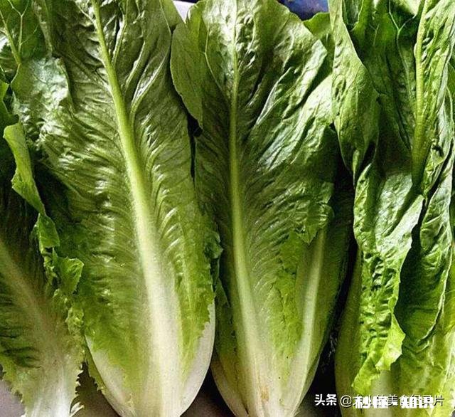 罗马生菜和西生菜哪个好吃