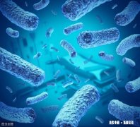 南北极超级细菌逐渐解封，是否会成为全球病毒传播新隐患