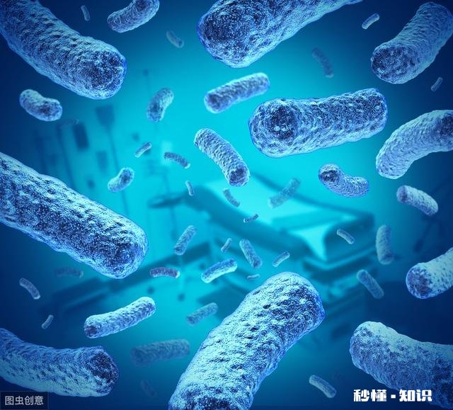 南北极超级细菌逐渐解封,是否会成为全球病毒传播新隐患