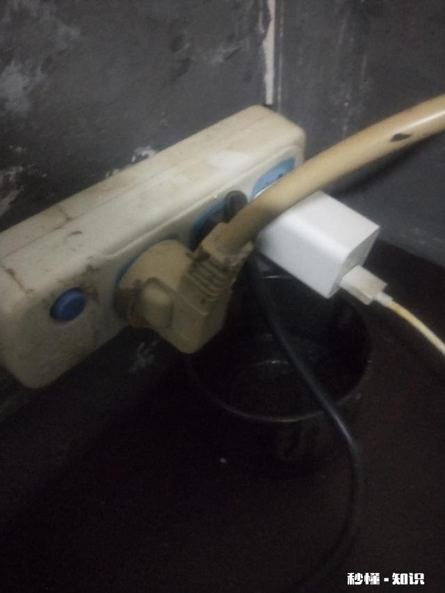 小时候你有没有做过特别傻的事