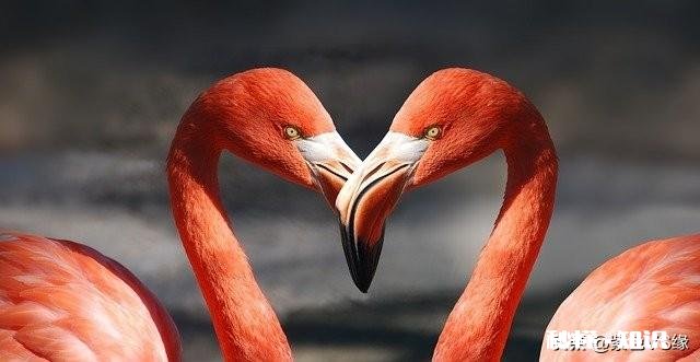 我七年的恋人最近对我生活不再关心,回复信息也是几个字,他变心了吗