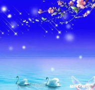 你对孩子的情感有期待吗