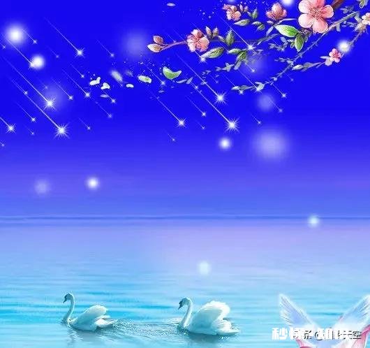 你对孩子的情感有期待吗