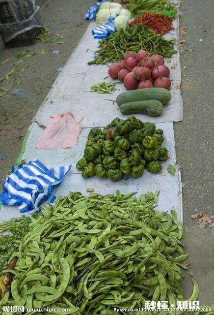 50岁的人没有正当职业，做什么事情能挣钱养家