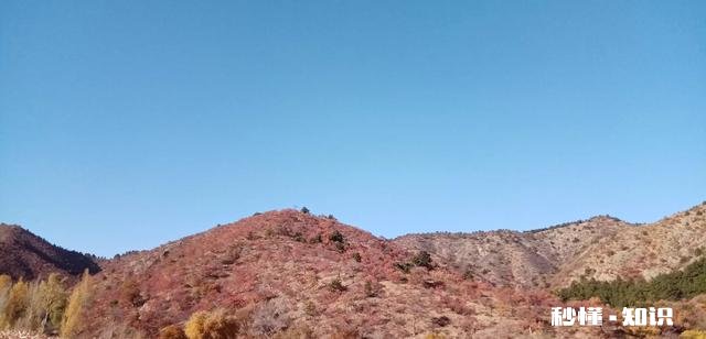 《三国演义》的综合战将如何排名