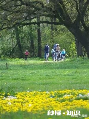 一天到晚总感觉身体有些不舒适,到医院看过也没病,你有这种感觉吗