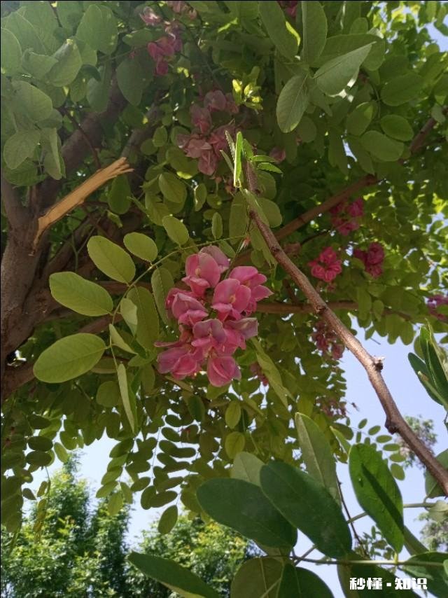 我是井底之蛙吗