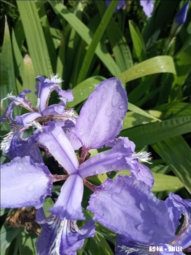 我是井底之蛙吗