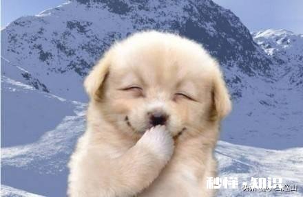 为什么我总是被女孩子拉黑