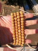 刚刚朋友送的小金刚菩提，目前用钢刷刷了两天，得盘多久才会上色注意些什么