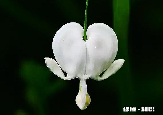 小公司劳动合同条款对公司有利，拒绝帮你买社保的条款是否可以不签或举报