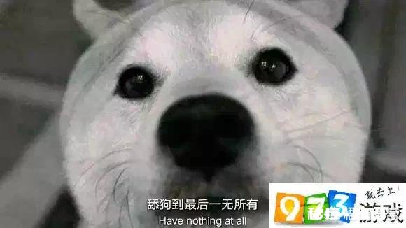 现在距离中考还有20天左右，暗恋四年的女生应该不应该去表白