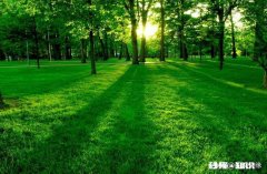 为骗取拆迁款，一家11人半个月内结婚离婚23次，有考虑到孩子吗