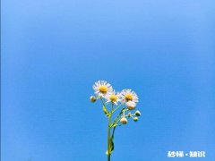 问男生在干嘛就没回复了还要不要继续发