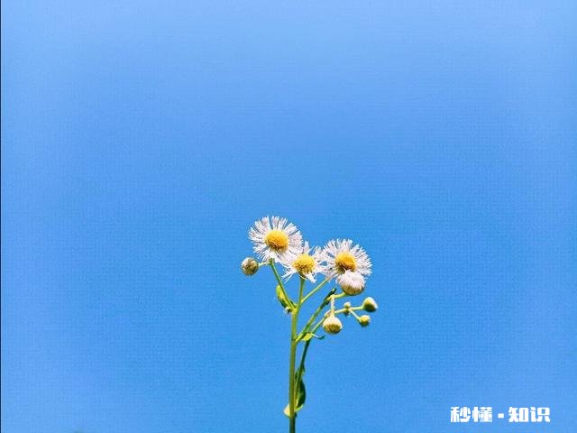 问男生在干嘛就没回复了还要不要继续发