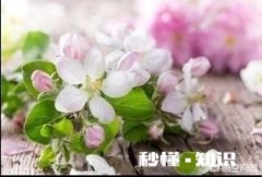 第三方公司经常变更公司名称和法人，不给劳动者签正式劳动合同是否属于犯法