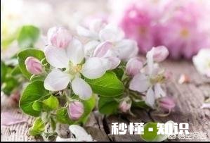 第三方公司经常变更公司名称和法人，不给劳动者签正式劳动合同是否属于犯法