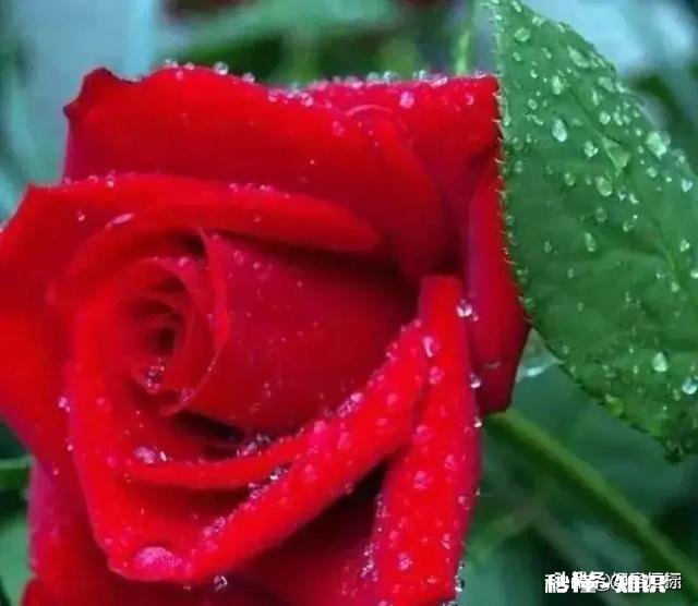 哪位近、现代文豪的哪段文字让你感触颇深