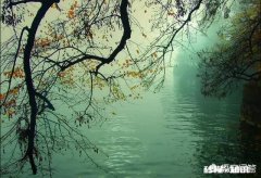 哪位近、现代文豪的哪段文字让你感触颇深