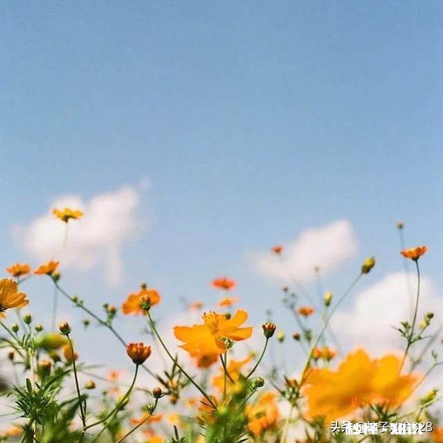 追的一个男生有女朋友之后我就没追了，现在他分了我该怎么去找他